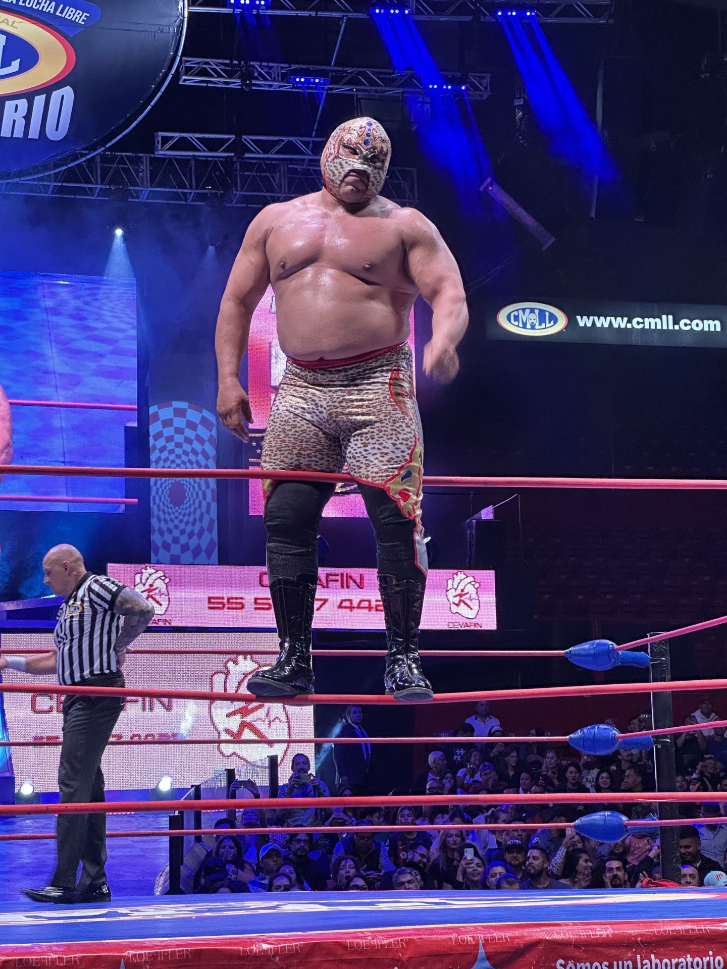 Luchador on the ropes